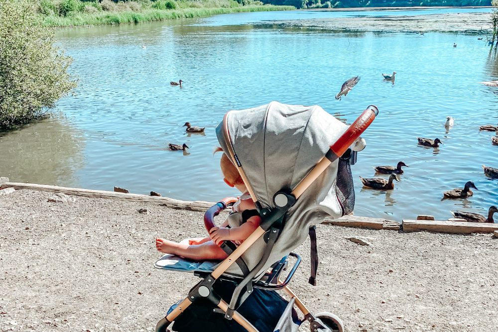 Buying Guide: How to Choose a Pushchair