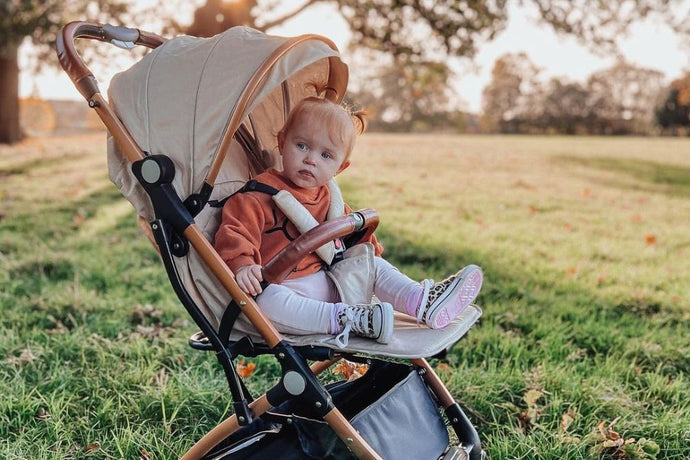 Do I Need a Stroller Fan Yes or No The Lejoux Stroller TheLejouxStroller