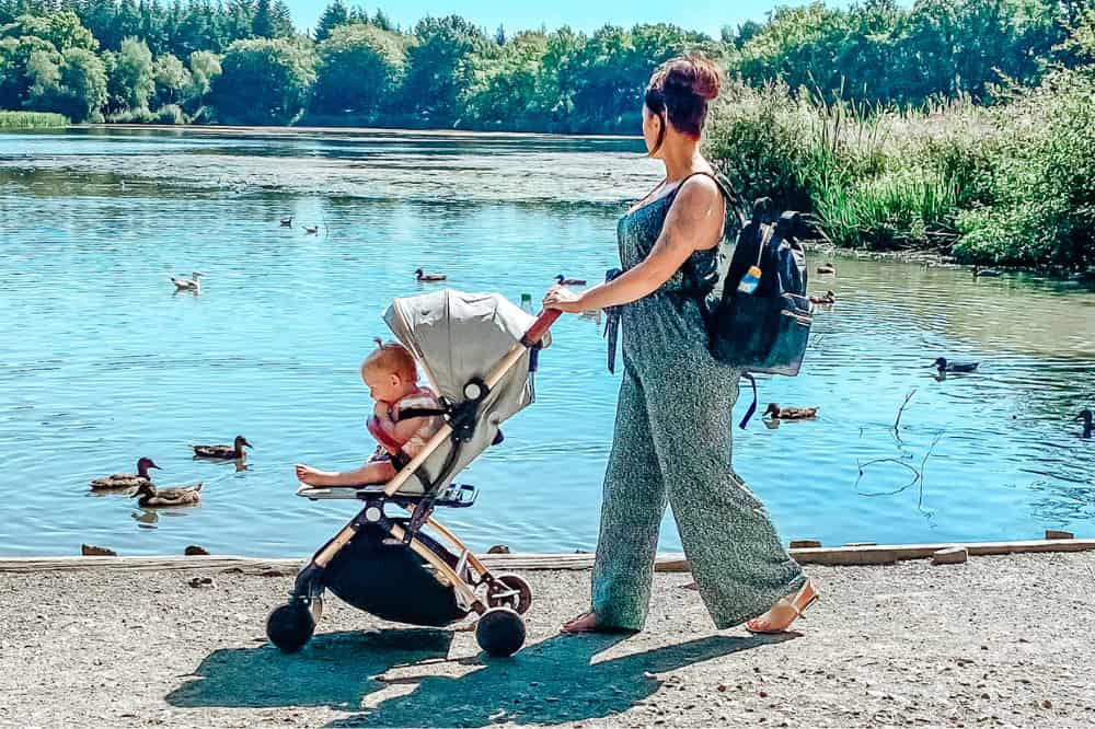 Top 10 Essentials For Your Stroller Carry Bag